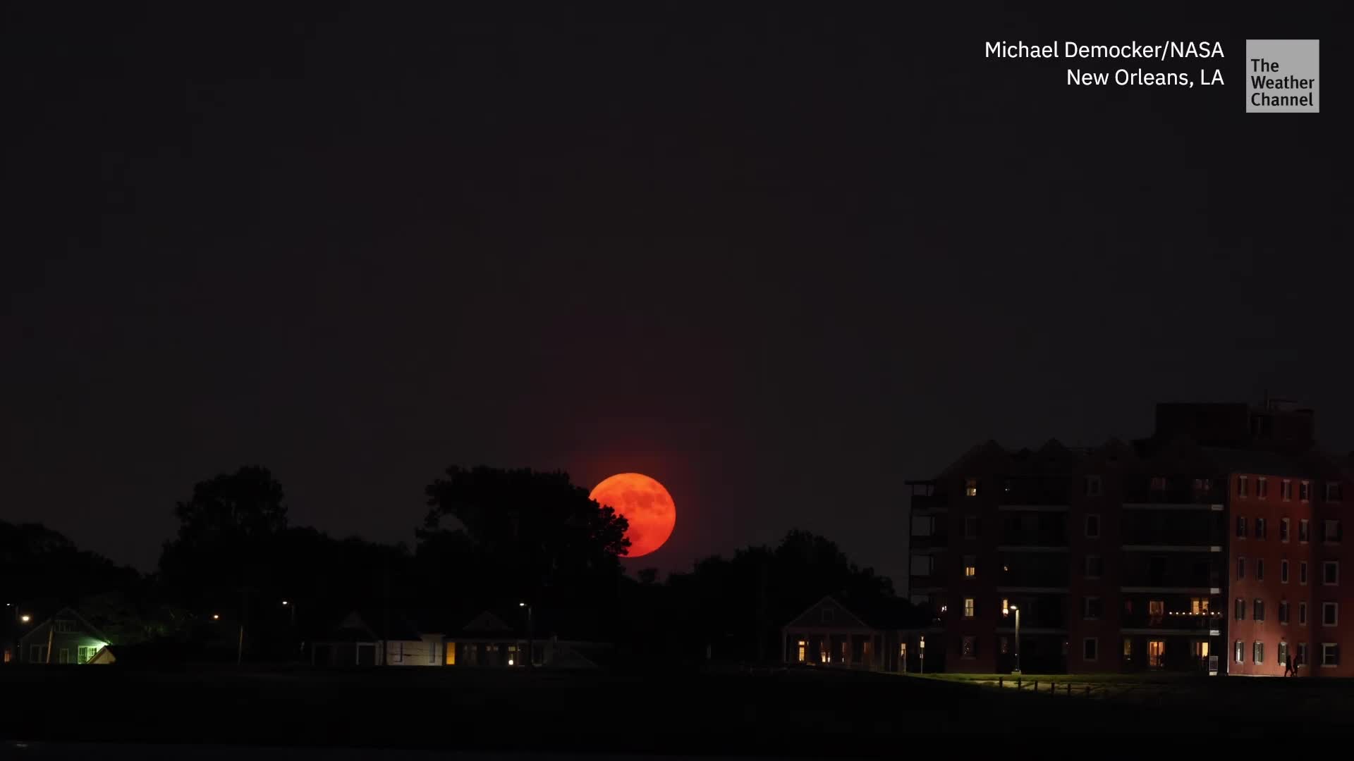 July's Headlines: From Full Moons to Rattlesnake Dens