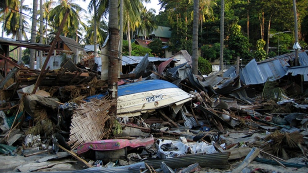 Disaster Docs & Global Reach:  News Roundup