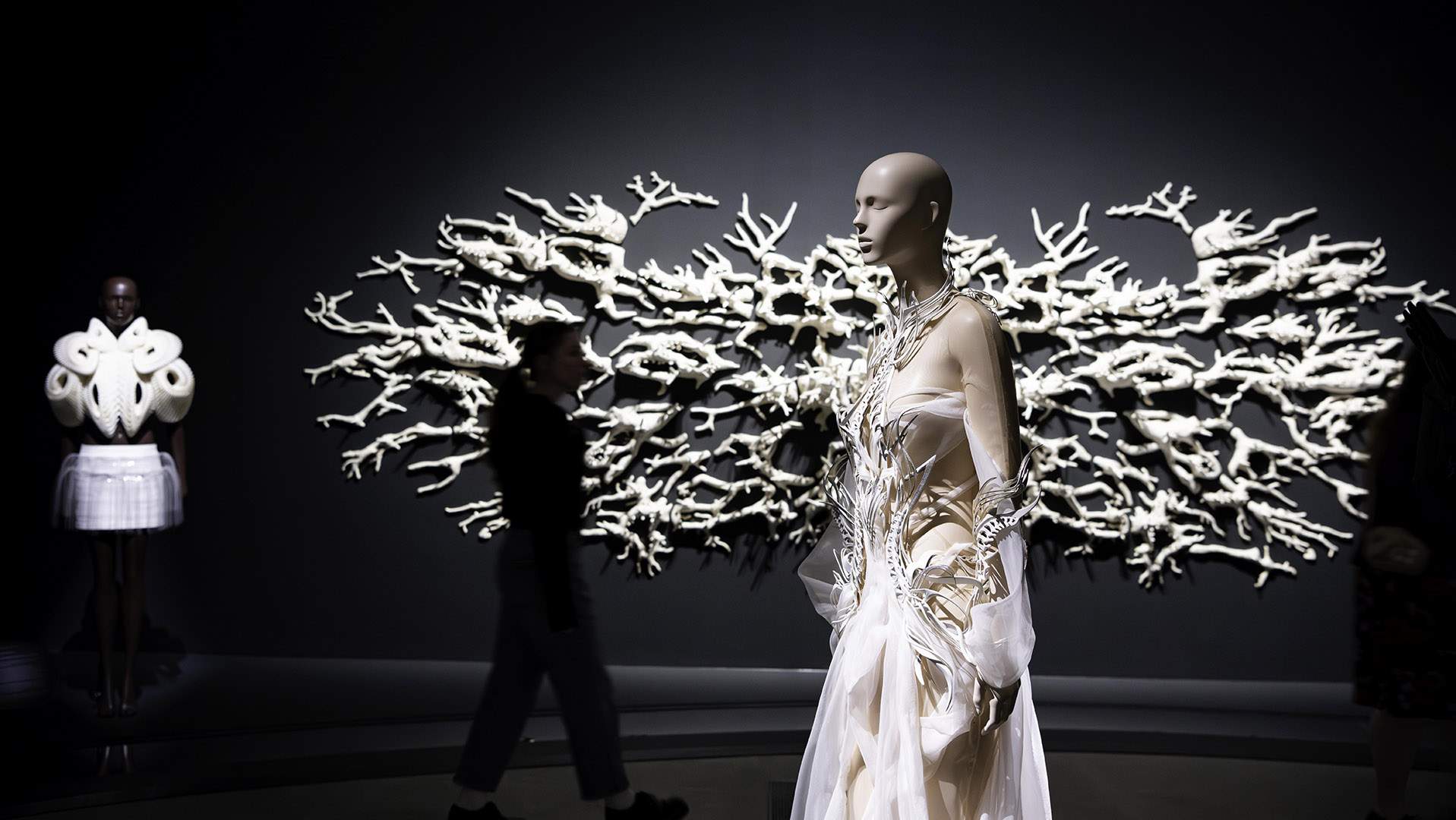 Iris van Herpen: Sculpting the Senses -  A Feast for the Senses in Brisbane