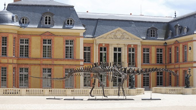 Giant Dinosaur Skeleton Up For Auction