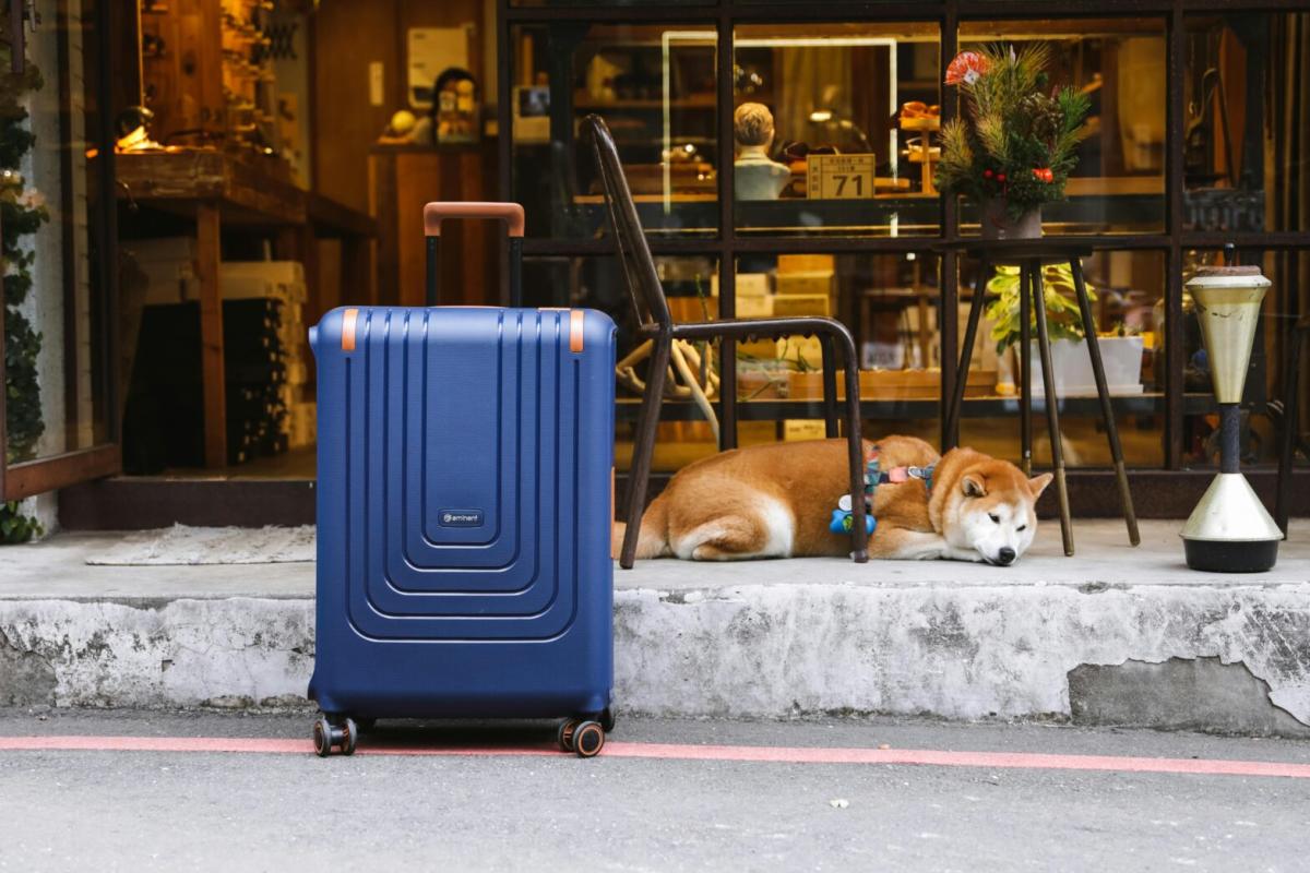 Luggage Trackers: Keep Your Bags Safe ð§³