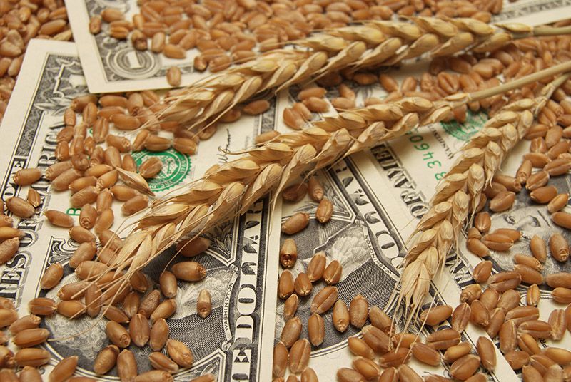 Wheat Futures Dip as Ukraine Harvest Boosts Global Supply