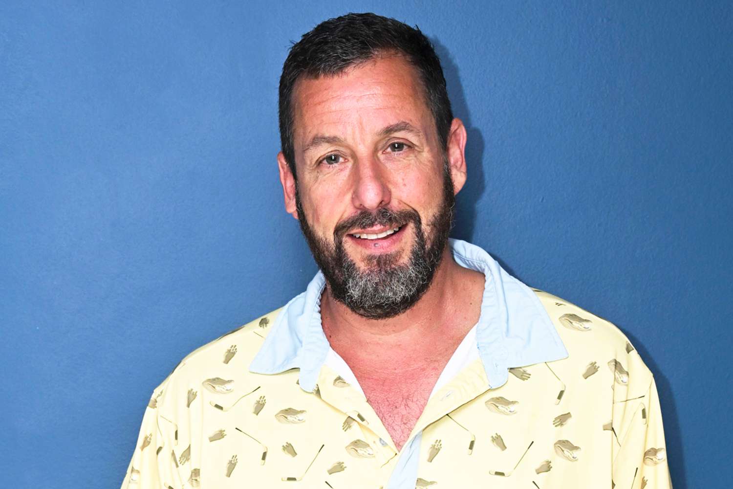 Happy Gilmore's Back! Sandler Confirms 'Hard Work' on Sequel