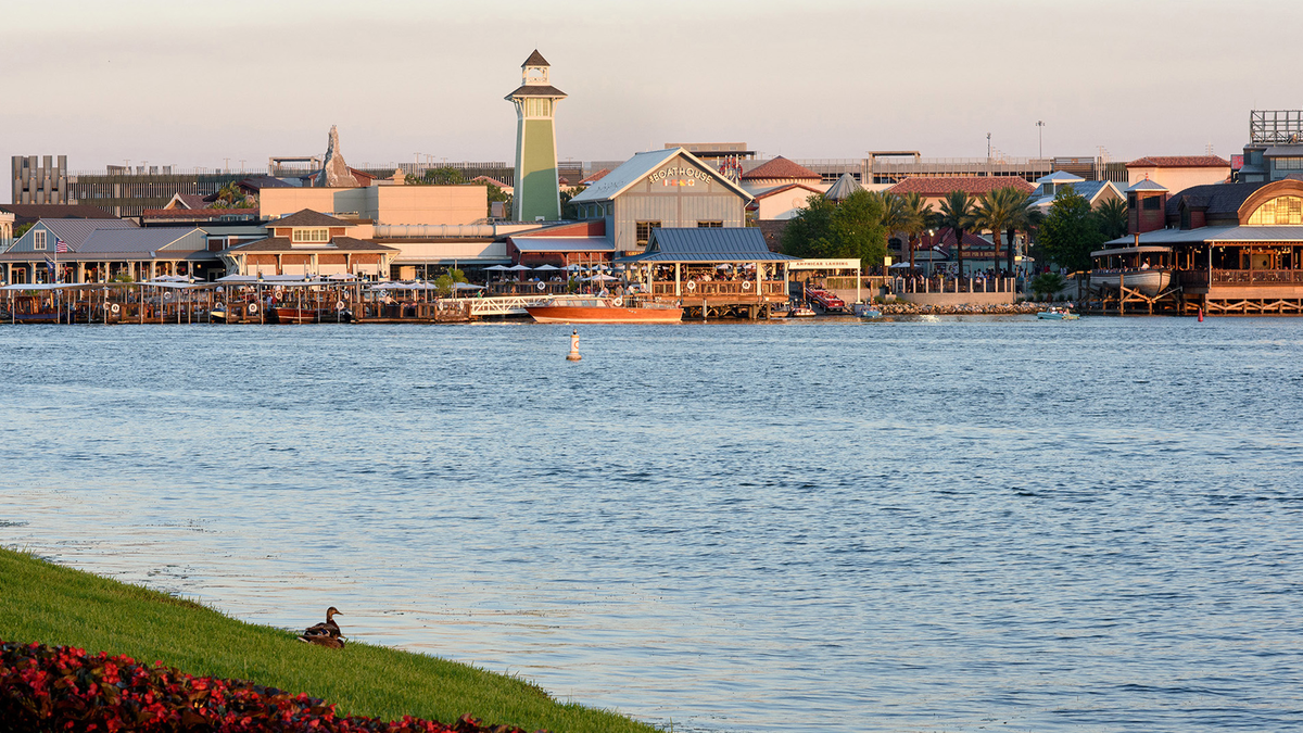 Disney+ Terms Could Sink Lawsuit Over Fatal Allergy at Disney Springs