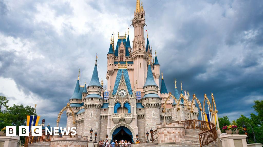 Disney+ Terms Used to Halt Lawsuit After Allergy Death at Disney World