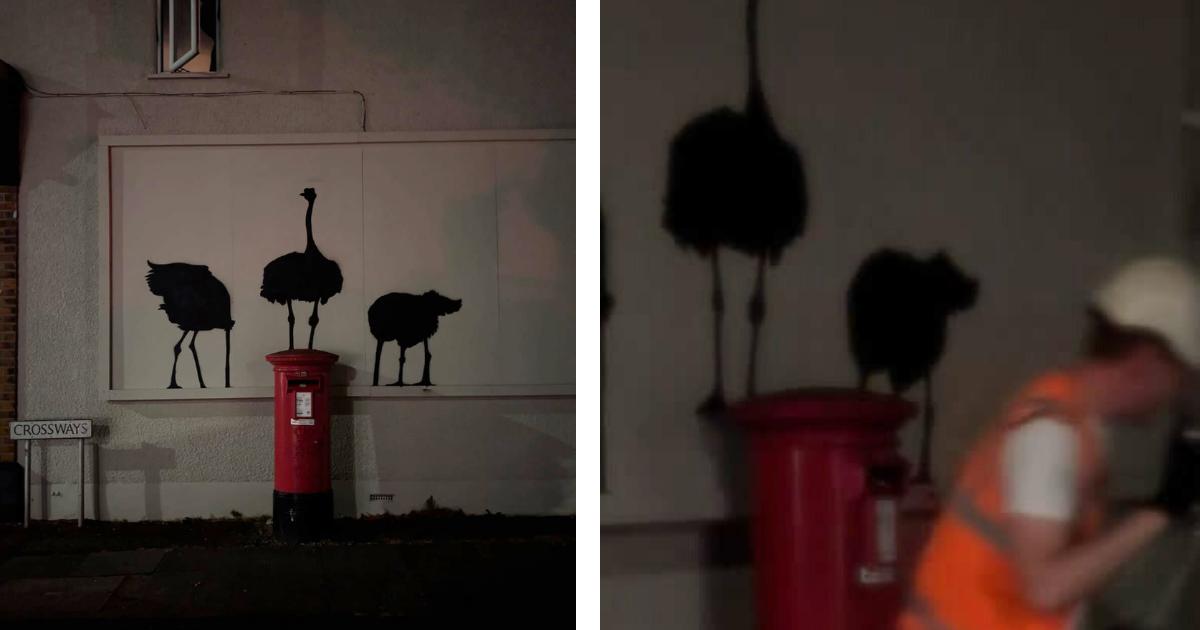 Romford's Ostrich Enigma: Could This Be Another Banksy?