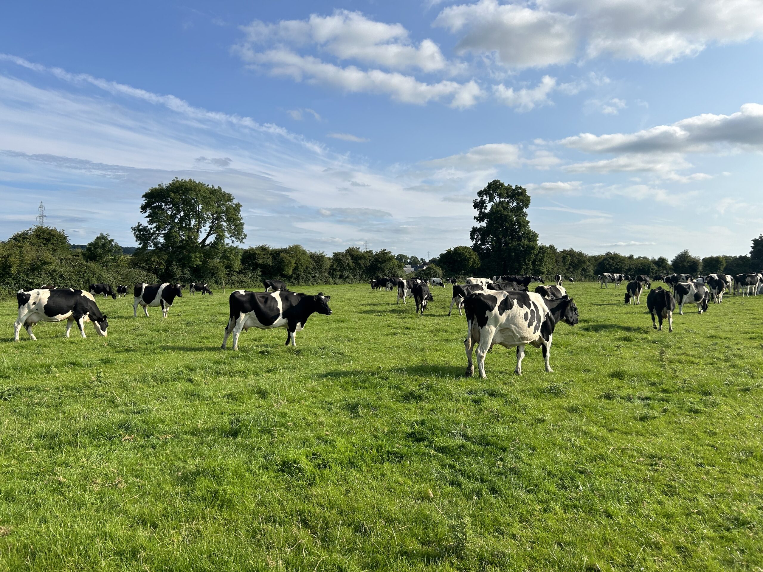 Dairy Farmers Must Graze for Profit: Cost Trends Threaten Industry