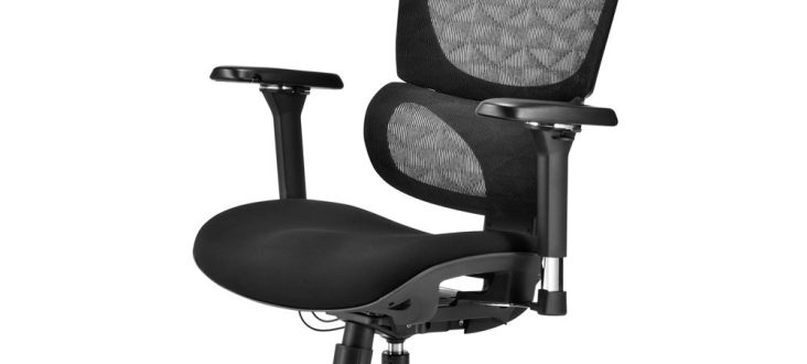 Sharkoon Expands Gaming Chair Range: Introducing the Premium C40 Series